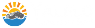 Yalelo Auctions
